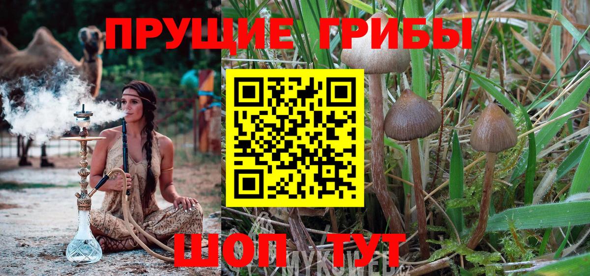 Галлюциногенные грибы мицелий Канаш