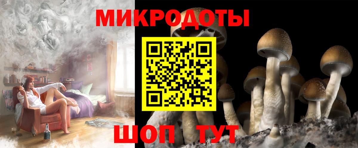продажа наркотиков  Галлюциногенные грибы мухоморы  Вход с VPN  Канаш 